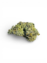 GMO x ICC (Indica Dominant Hybrid)