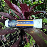 Premium Hash Infused Pre-Roll-1g - Panama Red